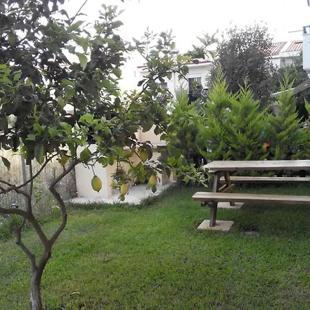 Apartament Thin Alos