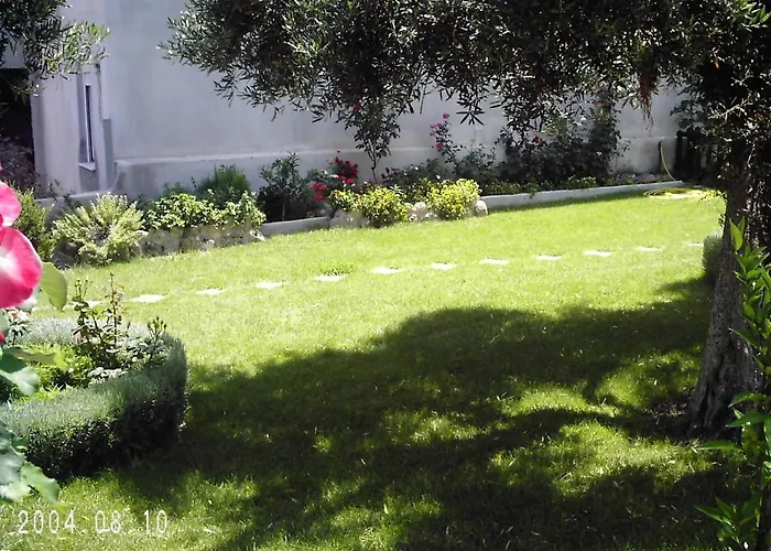 Thin Alos * Polychrono