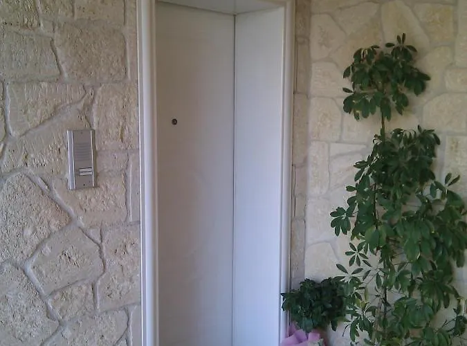 Thin Alos * Polychrono