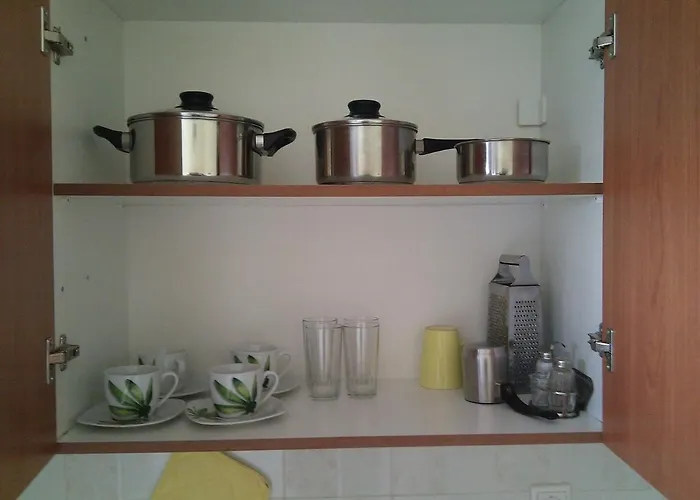 Thin Alos * Polychrono