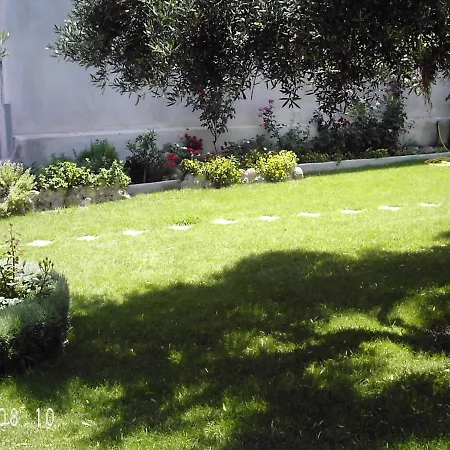 Thin Alos * Polychrono