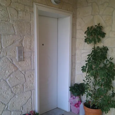 Thin Alos * Polychrono